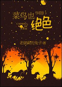 菜鸟也绝色(网游）